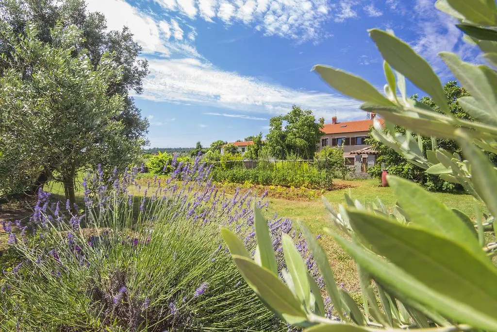 Pula Istria Apartments